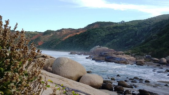 Adolescente de 14 anos fica ferida após cair de cavalo em trilha para a Praia D’água, em Imbituba