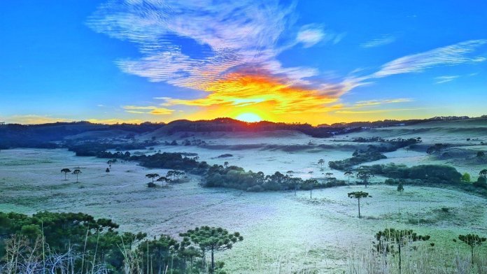 geada #Pracegover Foto: na imagem há árvores, o por do sol e geada