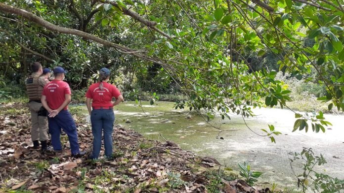 piscina desativada #Pracegover Foto: na imagem há profissionais do Corpo de Bombeiros e policiais, uma árvore e uma piscina desativada