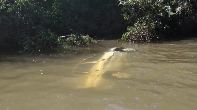 RS/SC: Casal e filho de apenas 7 dias ficam em estado gravíssimo após caírem de carro no Rio Uruguai RS/SC: Casal e filho de apenas 7 dias ficam em estado gravíssimo após caírem de carro no Rio Uruguai