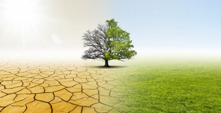 O Ponto de Mutação