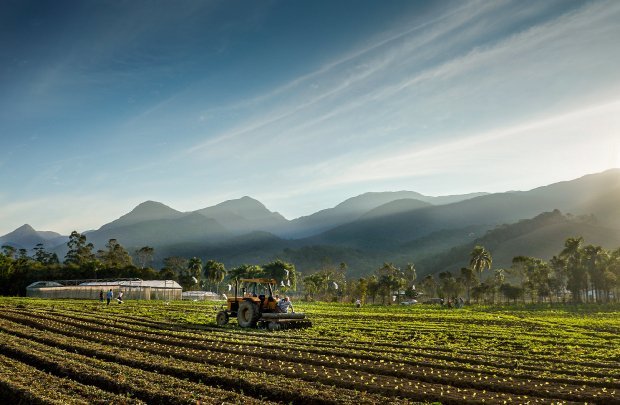 agricultura #Pracegover Foto: na imagem há um terreno, uma máquina agrícola e um homem
