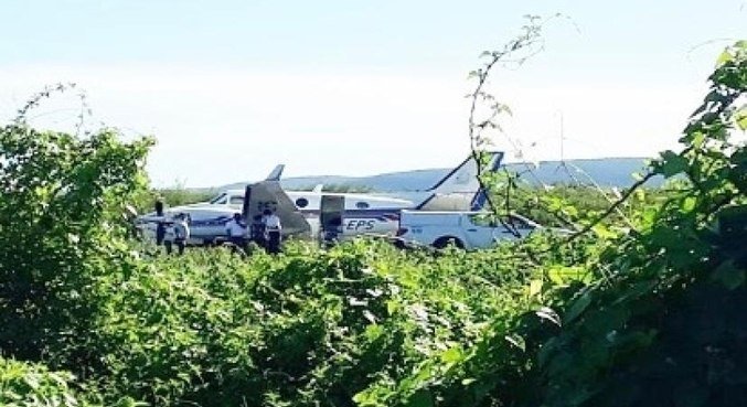 avião #Pracegover Foto: na imgem há uma aeronave e muito mato