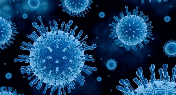 coronavirus-890x480-1-696x376