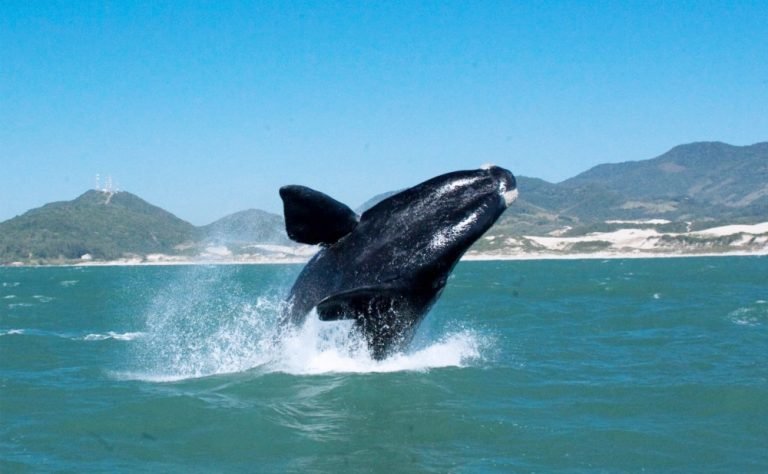 Imbituba e Laguna representarão a AMUREL no Colegiado Estadual de Turismo e Cultura