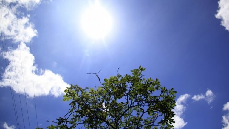 Sábado será de calor intenso em Santa Catarina; temperaturas podem chegar a 35ºC