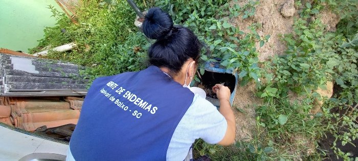 Segundo foco do Aedes Aegypti é localizado em Capivari de Baixo #pracegover Na foto, uma mulher analisa armadilhas com larvas do mosquito