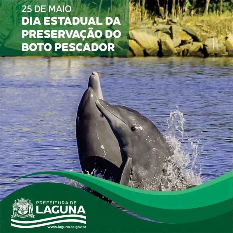 laguna boto #Pracegover Foto: na imagem há dois botos e o mar