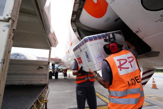 Santa Catarina recebeu 29,6 mil doses da Coronavac neste sábado #Pracegover Na foto, homens retiram do compartimento de um avião caixas com doses de vacina