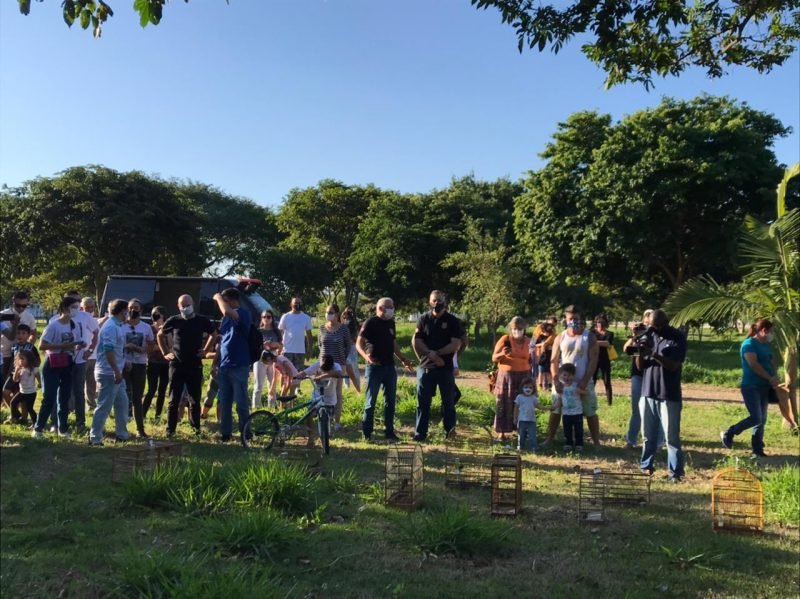 aves #Pracegover Foto: na imagem há pessoas, gaiolas e árvores
