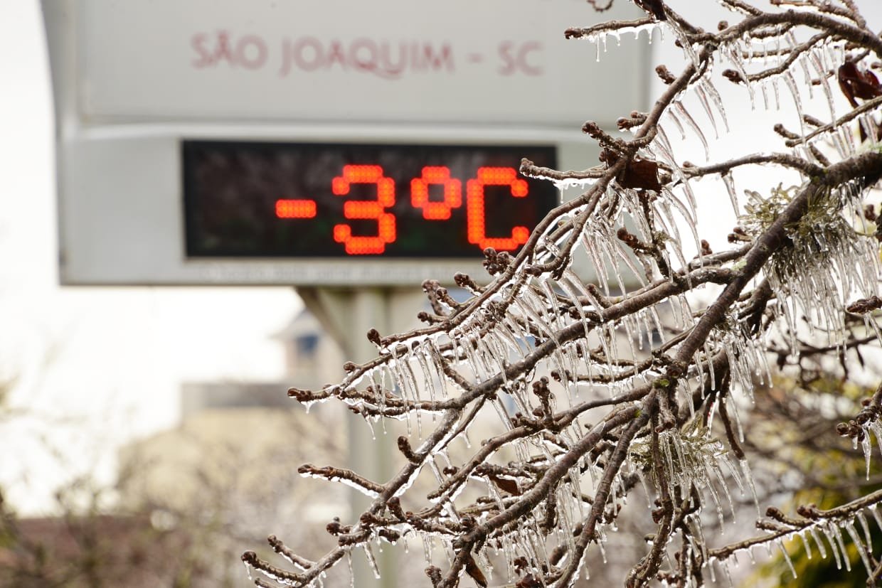 Foto Serra #Pracegover Foto: na imagem há uma árvore congelada e um termômetro