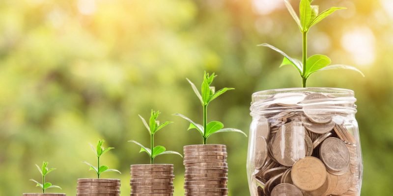 liberdade-financeira #Pracegover Foto: na imagem há plantas e moedas