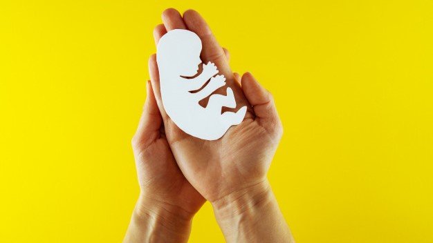 Proposta na Câmara Federal proíbe orientação sobre aborto por meio da telemedicina