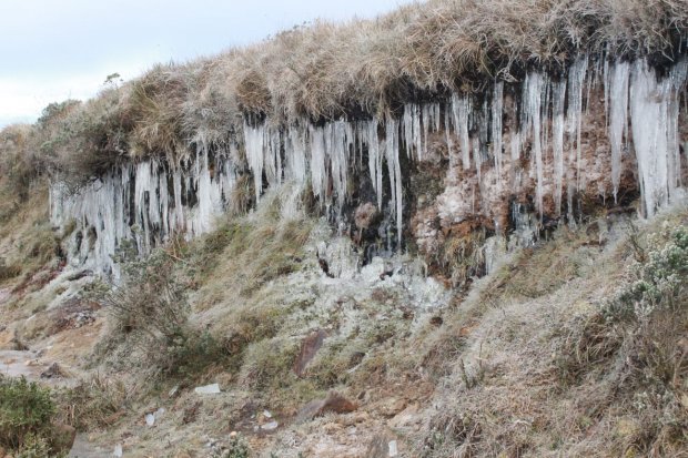 frio intenso #Pracegover Foto: na imagem há gelo e uma área verde