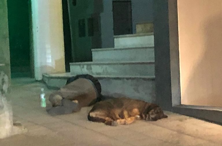 Tubarão cria força-tarefa para oferecer acolhimento a moradores de rua nos próximos dias