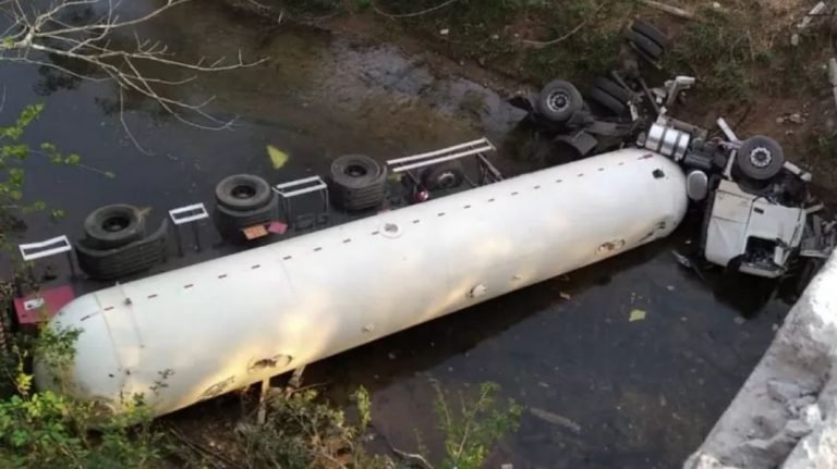 Caminhoneiro morre após cair de ponte e ser atacado por abelhas, em Goiás