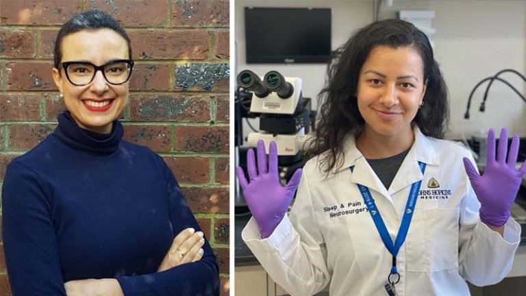 Cientistas de Laguna desenvolvem pesquisas que podem ajudar na prevenção ao Alzheimer