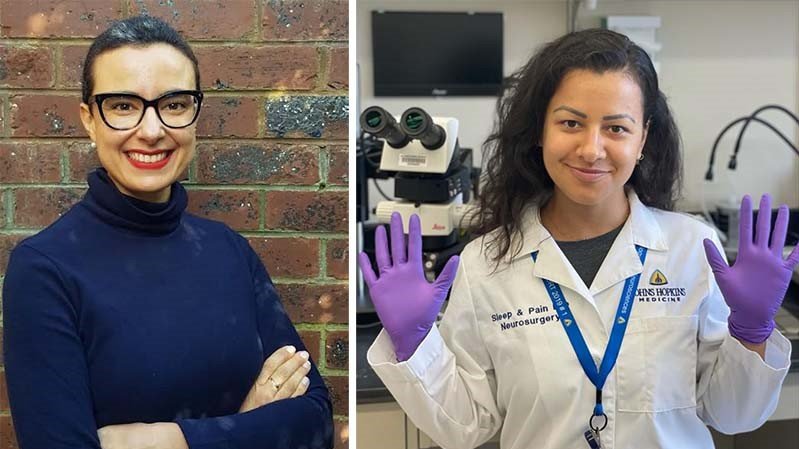 Cientistas de Laguna desenvolvem pesquisas que podem ajudar na prevenção ao Alzheimer