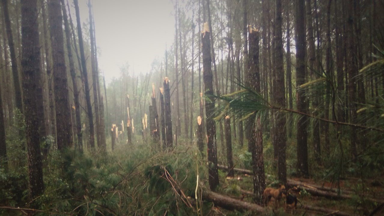 Santa Catarina pode ter sido atingida por 2 tornados na manhã desta terça