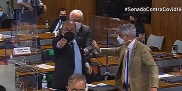 senado
