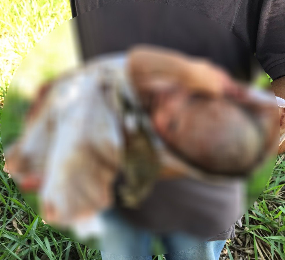 bebe-2