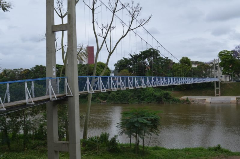 ponte pensil #Pracegover foto: na imagem há uma ponte, árvores e o rio