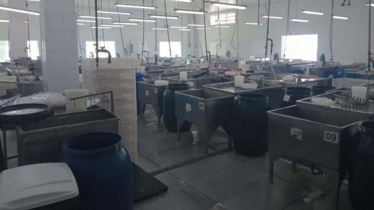 Global Casing esclarece que acidente aconteceu por causa de reação entre produtos químicos