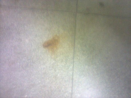 imagem ilustrativa Imagem ilustrativa