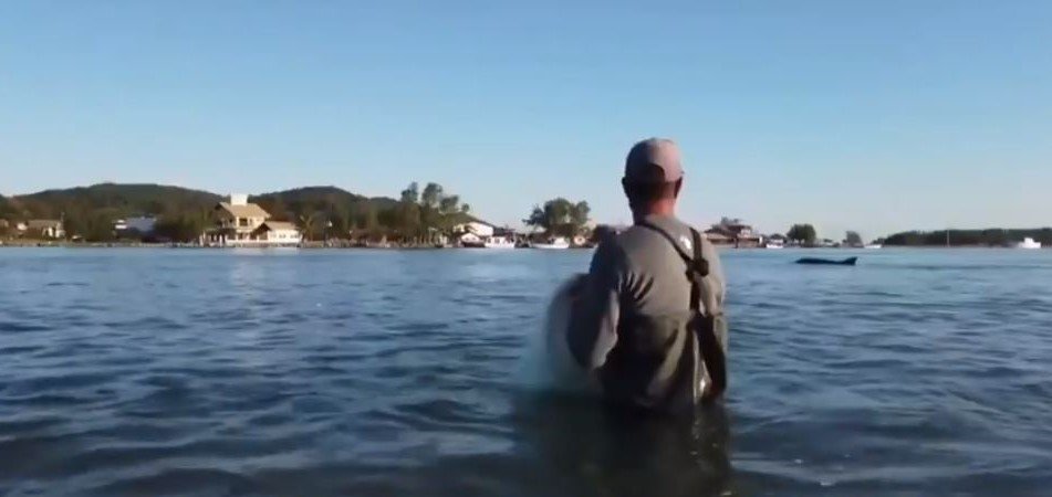 Encantos dos botos pescadores em Laguna será tema do Globo Repórter desta sexta-feira