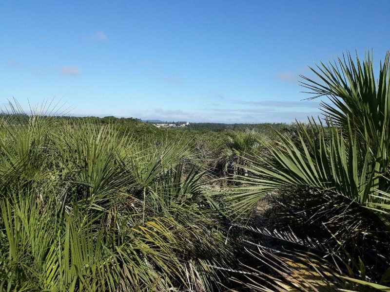 RPPN-Librelato #Pracegover foto: na imagem há uma extensa área verde