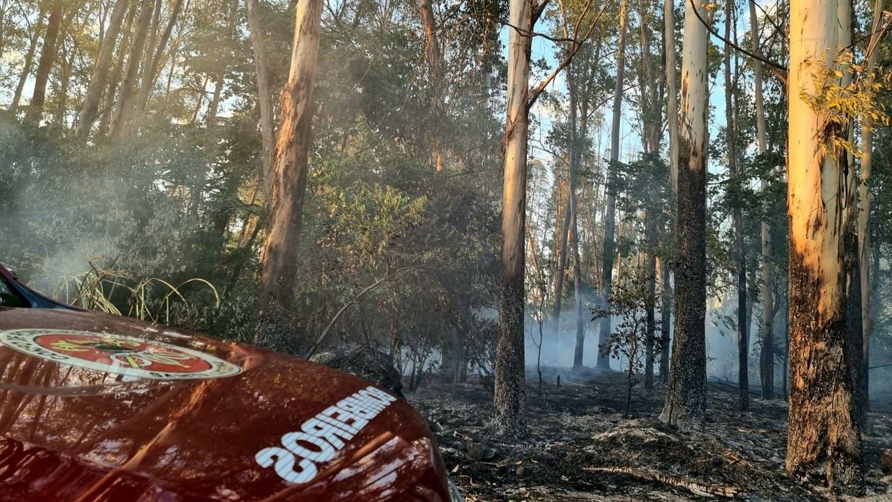 incendio-florestas-sc