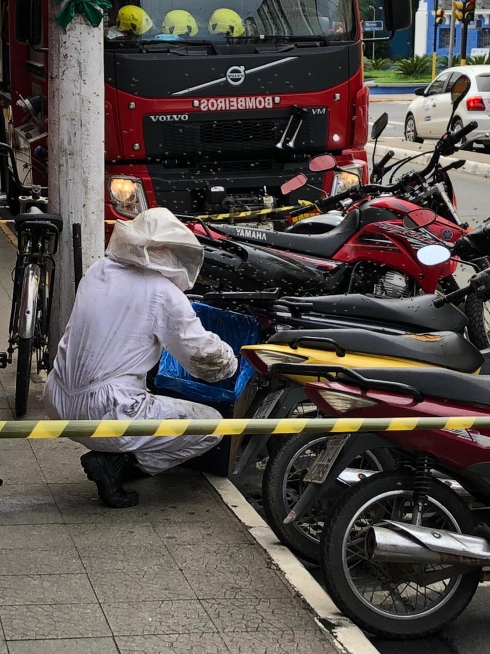 Abelhas #Pracegover Foto: na imagem há motocicletas, um caminhão e um homem