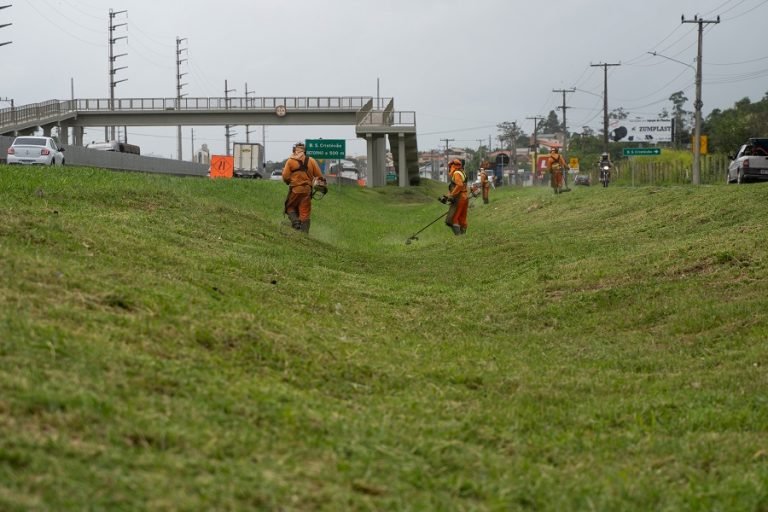 BR-101 terá interdição de pistas em sete cidades ao longo desta semana