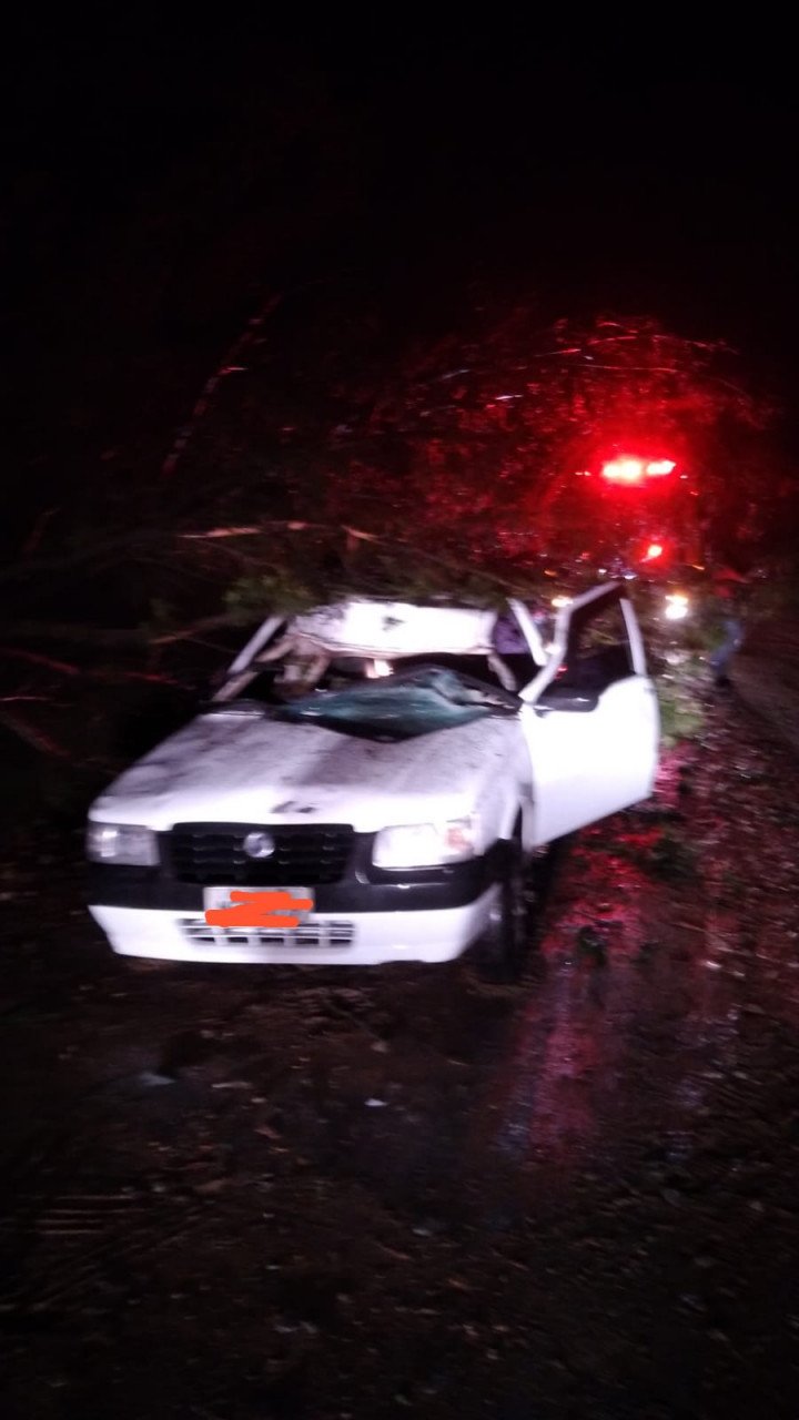 Veículo colide em árvore caída na estrada do Gi, em Laguna