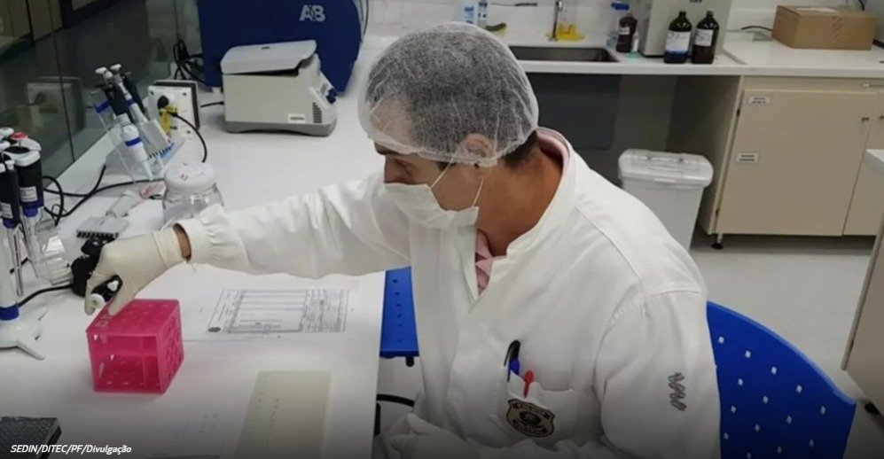 Homem encontrado morto em SC é identificado depois de sete anos