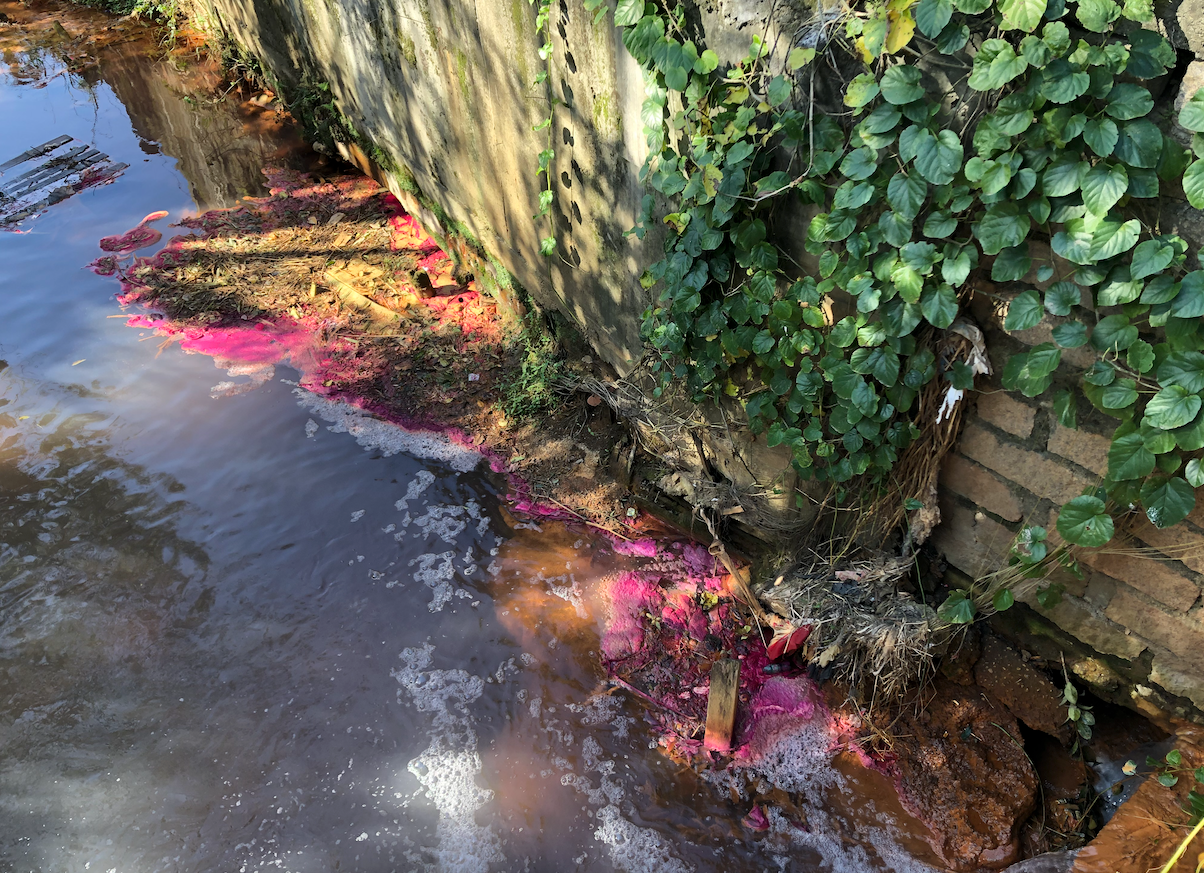 Rio Linha Anta #ParaTodosVerem Na foto, um trecho do Rio Linha Anta. As margens e vegetações estão cor-de-rosa depois que um pigmento foi despejado nas águas