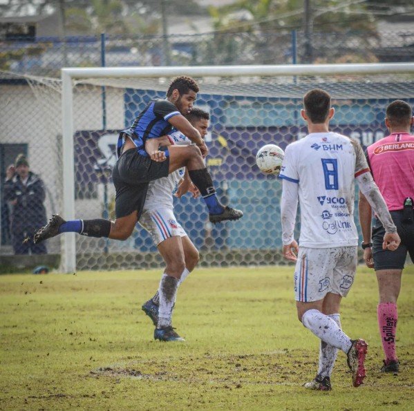 tubarão