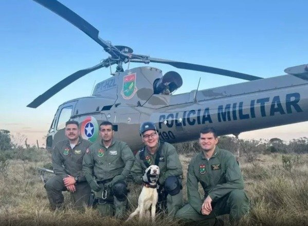 Helicóptero resgata cão preso em cânion de SC