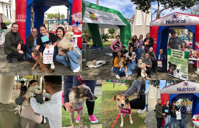 Feira e Chipamento de Cães e Gatos