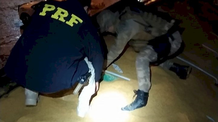Mais de duas toneladas de drogas são apreendidas no sul de SC