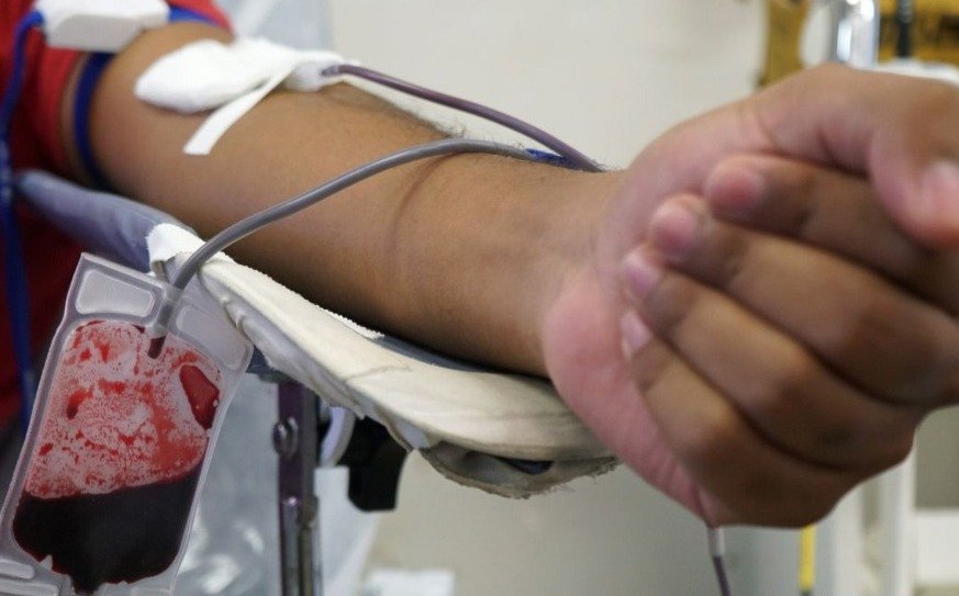 sangue doacao