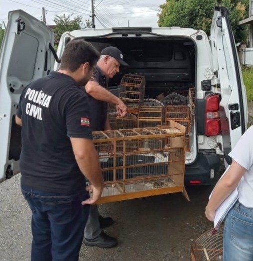 Aves silvestres mantidas de forma ilegal são apreendidas em Joinville