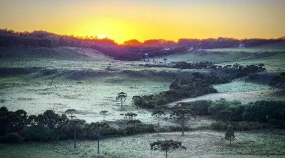 Serra catarinense registra primeira geada de 2023 em pleno verão