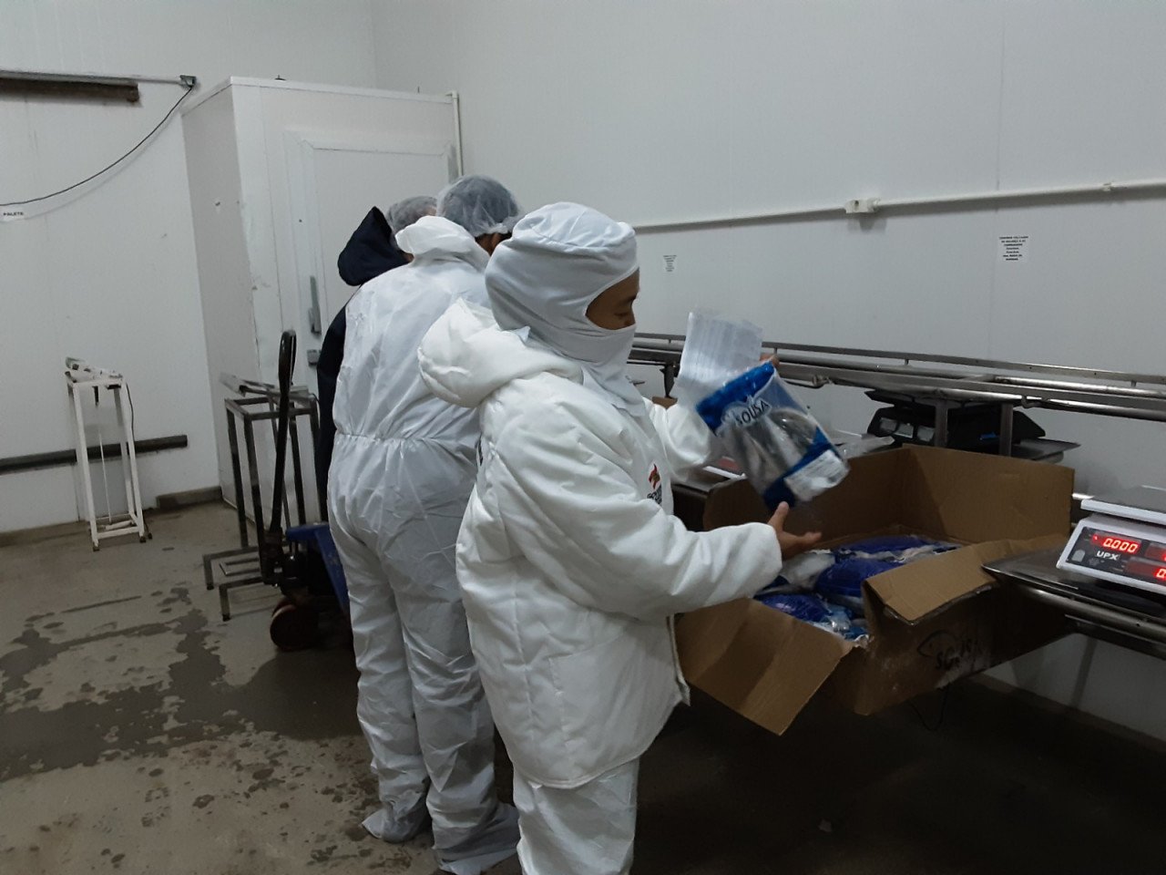 Operação Páscoa do Imetro fiscaliza pescados congelados no Litoral Sul