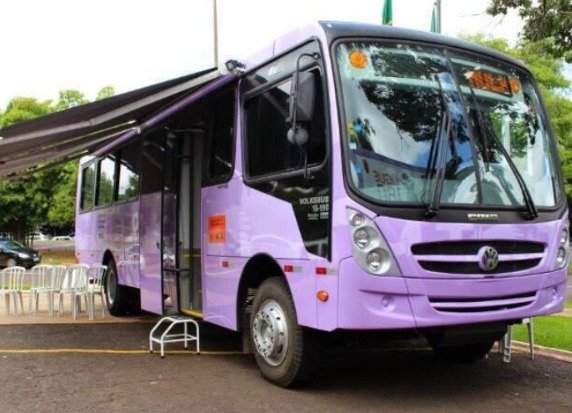 onibus lilas