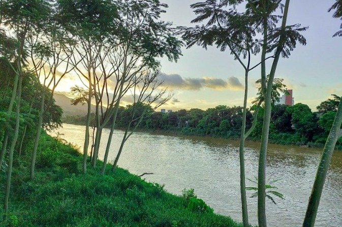Projetos apoiados pela Fapesc ajudam na preservação do meio ambiente