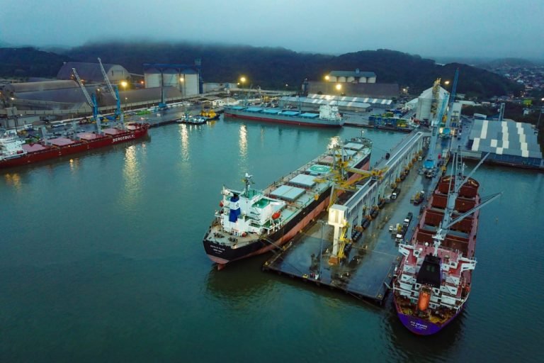 Portos de SC registram 6,8% de crescimento na movimentação de cargas no primeiro semestre