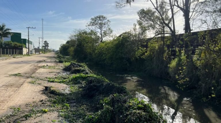 Prefeitura de Tubarão intensifica limpeza da vala na Avenida Visconde de Barbacena