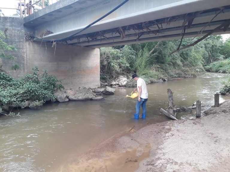 Aplicação de larvicida visa combate a borrachudo