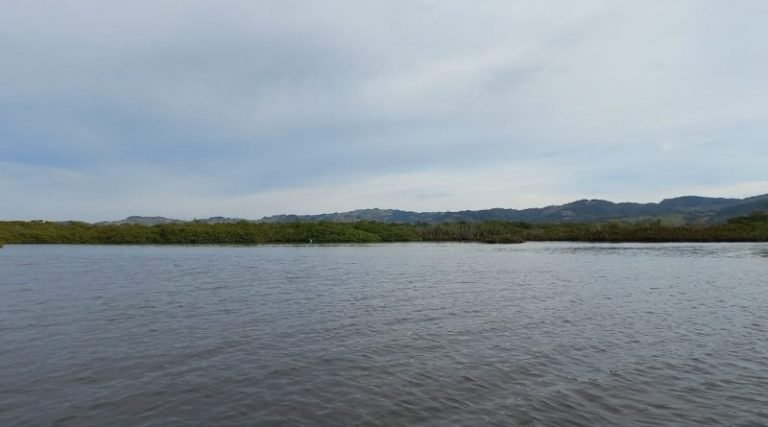 Flama atualiza instrução normativa para intervenção em áreas de preservação permanente (APP)